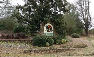 Belmont Downs Homes